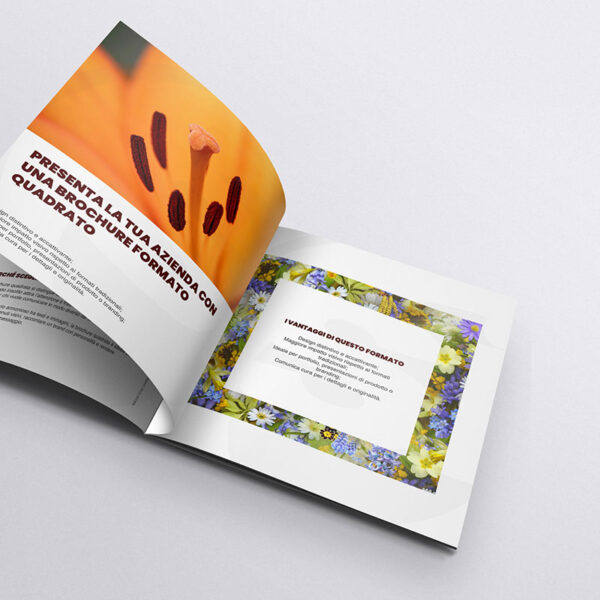 Stampa opuscoli personalizzati | SISTAMPA Stampa opuscoli personalizzati | SISTAMPA